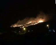 Samandağ'da Çıkan Yangın Kontrol Altına Alındı