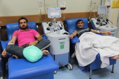 TÖTM'de Aynı Anda 7 Hastaya Kök Hücre Nakli Yapıldı