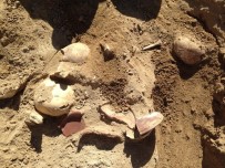 HAKAN YILMAZ - Urartular'ın Ölüm Nedenleri Araştırılıyor