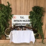 Uyuşturucu Operasyonu Yapılan Evden Cephane Çıktı