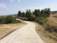 Boyabat'ta Köy Yolları Asfaltlanıyor