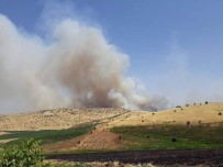 Diyarbakır'da Ağaçlık Alanda Yangın