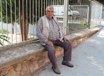 MEKTEP - Gece Kendisini Sokan Kırkayak Sabah Gömleğinin İçinden Çıktı
