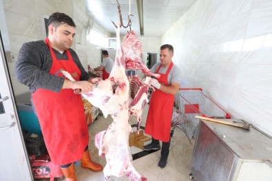 Hayat Ağacı'na 742 Hisse