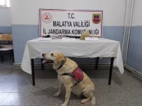 Malatya'da Uyuşturucu Operasyonu Açıklaması 1 Tutuklama Haberi