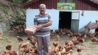 TAVUK ÇİFTLİĞİ - Polislikten Emekli Olununca Organik Tavuk Çiftliği Kurdu