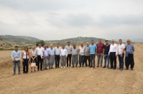 ÇAVUŞLU - Tarsus'ta İlk Kez İncir Şenliği Düzenlenecek
