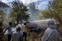 ŞİDDETLİ RÜZGAR - Gümüşhane'de Rüzgarın Kırdığı Kavak Ağacı Yüksek Gerilim Hattına Düştü