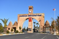 EK KONTENJAN - Harran Üniversitesi'ne YKS 2019'Da Rekor Tercih