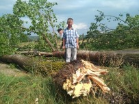 ULUKÖY - Kütahya'da 15 Dakikalık Yağış Ve Fırtına Hayatı Felç Etti
