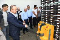 SOĞUK HAVA DEPOSU - Lapseki'de Bölgenin En Büyük Soğuk Hava Deposu Açıldı