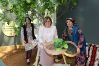 ÖDÜL TÖRENİ - Müzeler Şehri Gaziantep'in Bir Müzesi Daha Ödülle Taçlandı