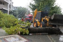 YAĞAN - Sakarya'yı Etkisi Altına Alan Yağmur Hayatı Olumsuz Etkiledi