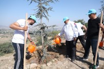 MECLİS ÜYESİ - Talas Belediye Meclis Üyeleri Ali Dağı'nda Fidan Dikti
