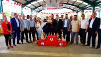 FATIH AKYEL - Taşköprü'de En İyi Sarımsak Ve En Güzel Buzağı Yarışması Düzenlendi