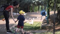 ZİYA SELÇUK - Bakan Çağrıda Bulundu, Eğitim Merkezi Hayvanat Bahçesine Döndü