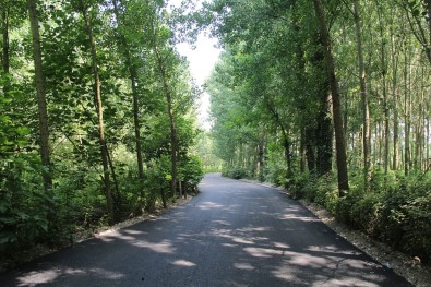 Büyükşehir'den 5 Ayda 136 Bin 397 Ton Asfalt