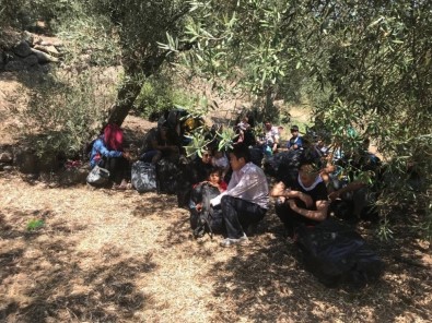 Çanakkale'de 31 Mülteci Yakalandı
