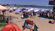 ALTıNKUM - Didim Sahillerinde Yoğunluk