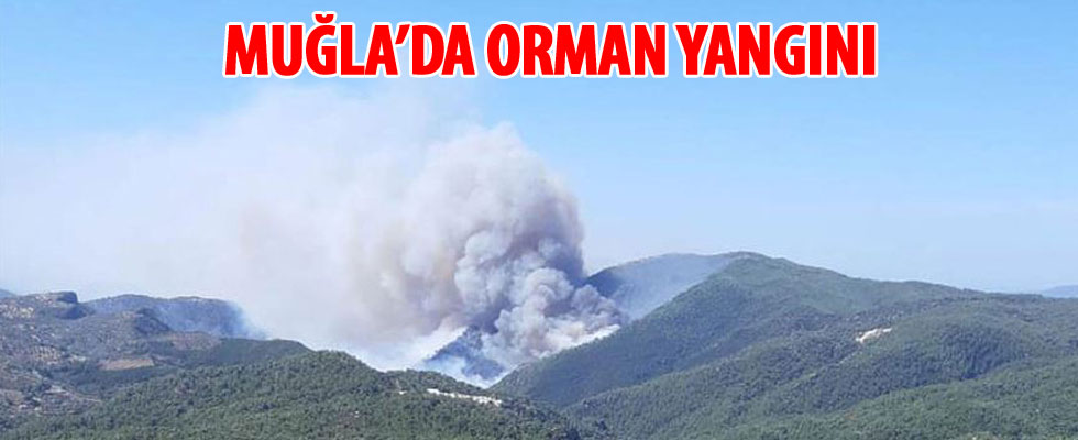 Muğla'da orman yangını