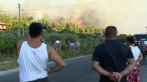 DEMIRCILI - GÜNCELLEME - Urla'da Orman Yangını