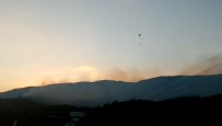 GEDIKTEPE - Hatay'daki Orman Yangını Kontrol Altına Alındı