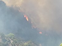 CEHENNEM DERESİ - Milas'taki Orman Yangını Tarım Arazilerine Sıçradı