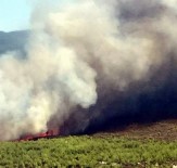 CEHENNEM DERESİ - Muğla'da İkinci Büyük Orman Yangını