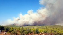 CEHENNEM DERESİ - Muğla'daki Orman Yangınları Devam Ediyor