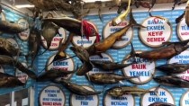 DENİZ CANLILARI - Türkiye Deniz Canlıları Müzesi Ziyaretçi Rekoru Kırdı