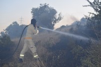 Aliağa'da Çıkan Yangın Korkuttu