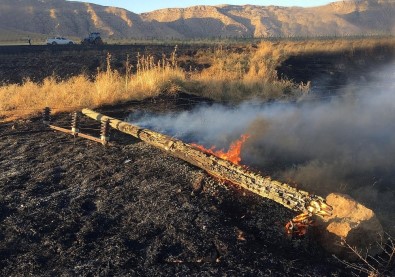 Anız Yangını 10 Köyü Enerjisiz Bıraktı