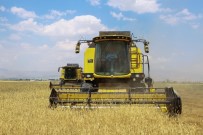 ATATÜRK ÜNIVERSITESI - Atatürk Üniversitesi, Tarımsal Eğitimin İlerlemesine Yönelik Çalışmalarını Sürdürüyor