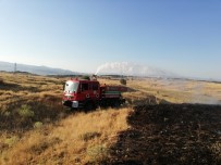 DOĞANCA - Bingöl'de Yangın Ormana Sıçramadan  Söndürüldü
