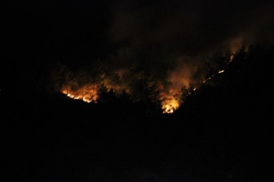 Hatay'da Kontrol Altına Alınan Orman Yangını Yeniden Alevlendi