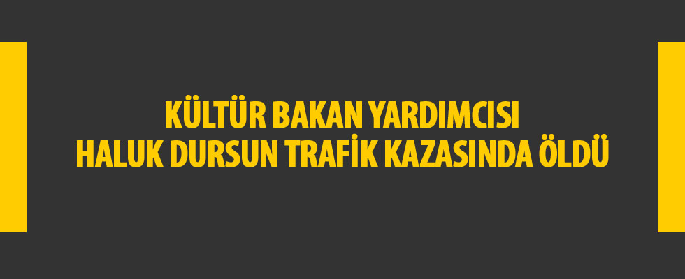Kültür Bakan Yardımcısı Haluk Dursun trafik kazasında öldü