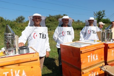 TİKA'dan Arnavutluk'a Arıcılık Alanında Destek