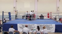 Türkiye'de İlk 'Satranç Boks' Şampiyonası Niğde'de Yapıldı Haberi