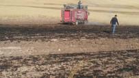 YÜKSEK GERİLİM HATTI - 70 Dönüm Ekibi Buğday Tarlası Yandı