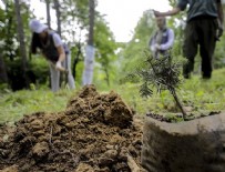 CANLI YAYIN - Bakan Pakdemirli'den açıklama: 