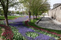 ERKILET - Büyükşehir Belediyesi, 1 Milyon 910 Bin 786 Adet Çiçek Dikti