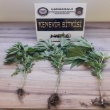 BONZAI - Çanakkale'de Uyuştucu Operasyonu Açıklaması 1 Tutuklama