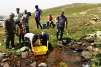 ÇAVUŞLU - Giresun'da Dereler Balıklandırılıyor