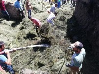 Özalp'ta Ot Yangını