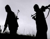 İSMAİL ÖZDEN - Terör Örgütü PKK Çöküyor