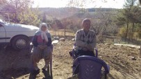 KADIRLI DEVLET HASTANESI - Ağaçtan Düşen Yaşlı Kadın Hayatını Kaybetti