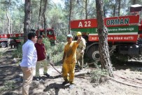 BUCA BELEDİYESİ - Binlerce İzmirli Gönüllü Oldu Açıklaması 'Ormanlarımız İçin Bizde Yardım Edelim'