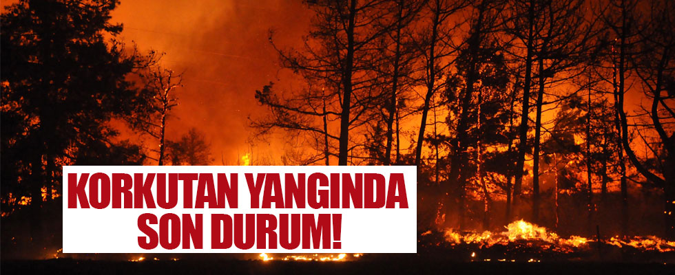 İzmir'deki yangında son durum