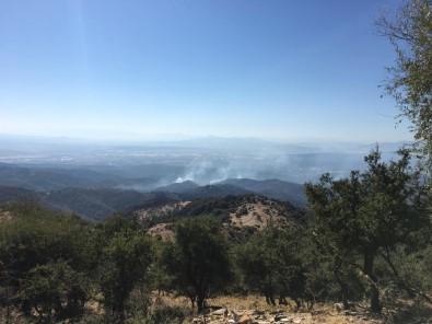 İzmir'in Ciğerleri Yanmaya Devam Ediyor