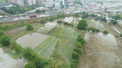 Ataşehir'de Su Basan Seralar Havadan Görüntülendi